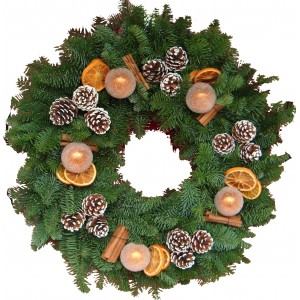 1384090_642879329089511_2070293478_n